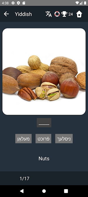Yiddish Language Tests Screenshot 3