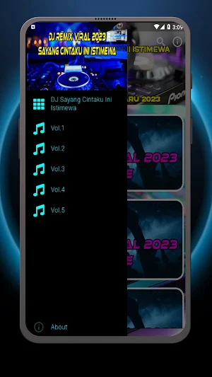 DJ Sayang Cintaku Ini Istimewa Screenshot 2