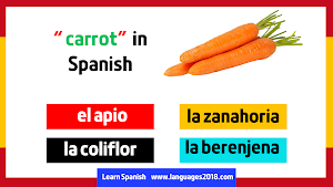 Learn Spanish - español Screenshot 1