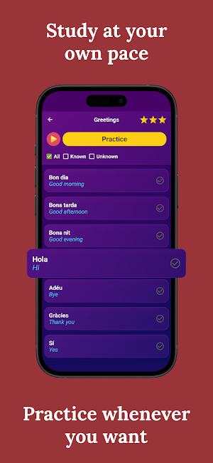 Learn Catalan - Beginners Screenshot 2