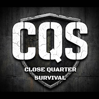 CQS Performance