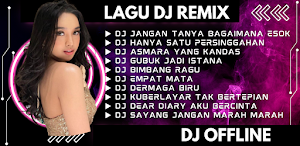 Lagu DJ Remix Offline Screenshot 1