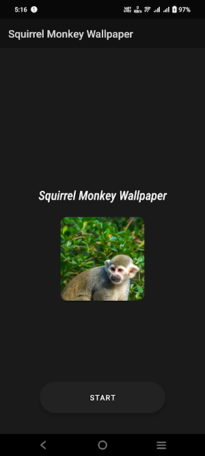 Squirrel Monkey Wallpaper Screenshot 1
