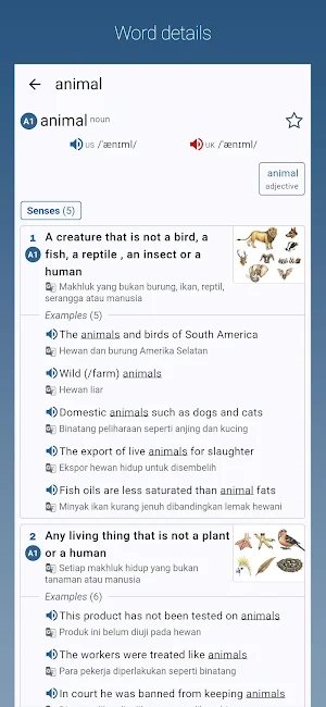 Kamus Bahasa Inggris-Indonesia Screenshot 0