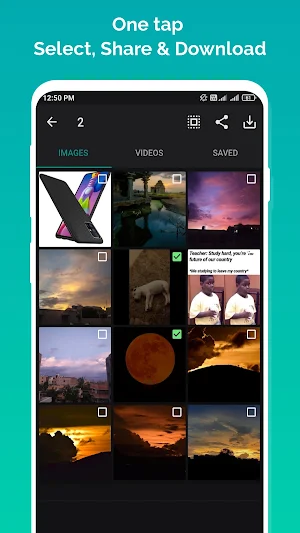 Save Photo & Video Status Screenshot 2