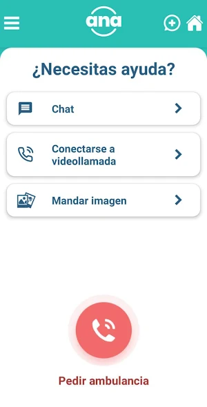 ANA Screenshot 2