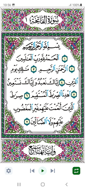 المصحف الإلكتروني بدون إنترنت Screenshot 0