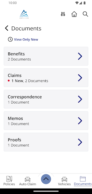 Amplified Insurance Partners Screenshot 2