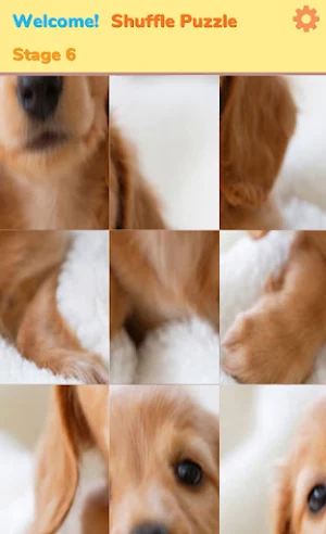 Shuffle Puzzle Screenshot 3