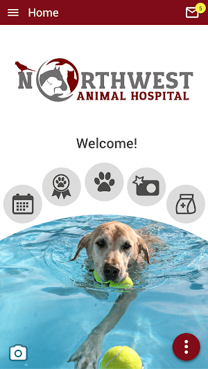 Northwest Animal Hospital Screenshot 0