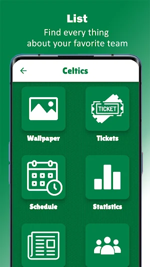 Boston Celtics Basketball Screenshot 2