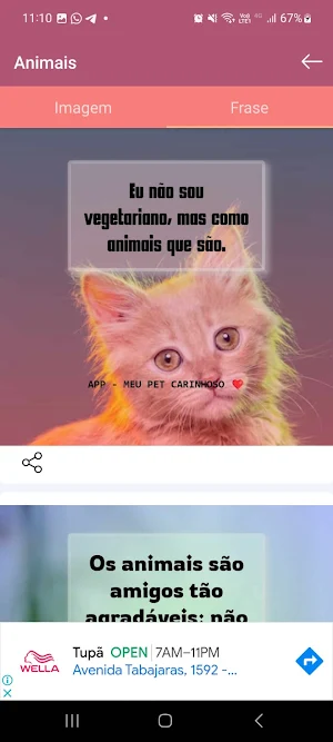 Pet Carinhoso Screenshot 2