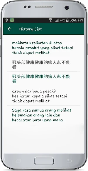 Malay Chinese Translate Screenshot 3