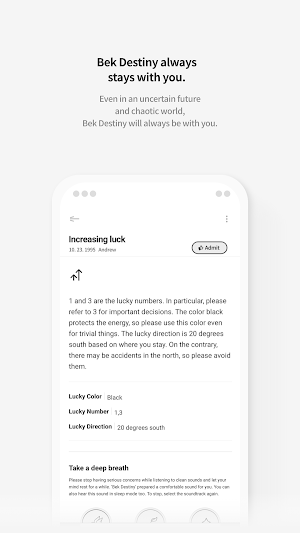 Bek Destiny Screenshot 2