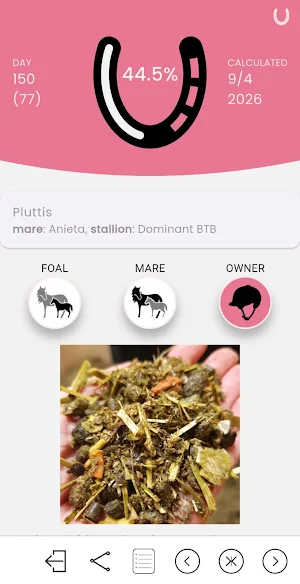 MY FOAL Screenshot 1