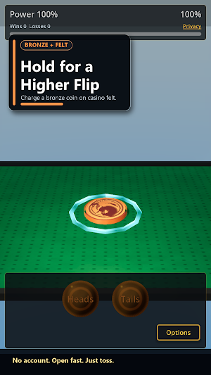 CoinToss Screenshot 2