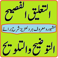 Al taleeq ul faseeh sharah tauzeeh talweeh sadisa