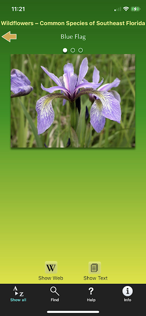 Southern Florida Wildflowers Screenshot 2