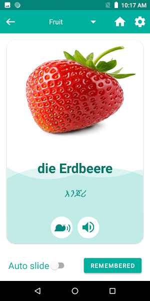 Amharic German Translator Screenshot 3
