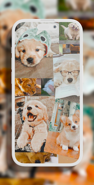 Puppy aesthetic wallpapers Screenshot 2
