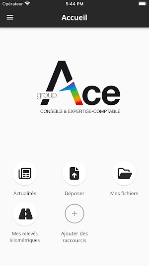 Groupe ACE Screenshot 1