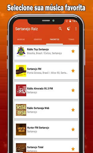 Sertanejo Raiz Screenshot 2