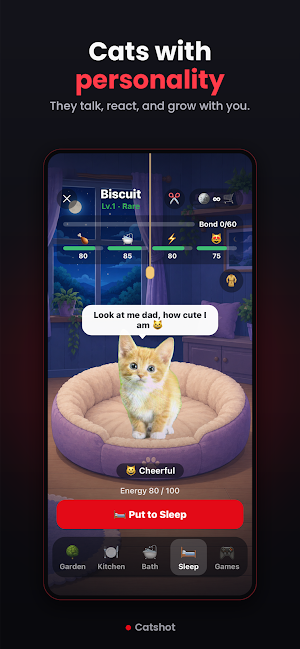 Catshot - Catch a Cat Screenshot 2