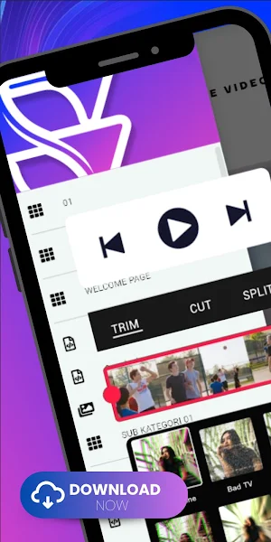 Streamable Video Share Info Screenshot 1
