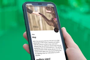 Puppy Adult Dog Training Screenshot 2
