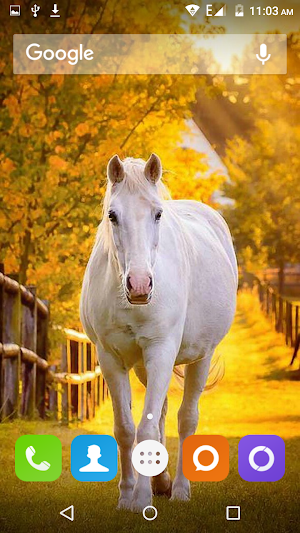White Horse Hd Wallpapers Screenshot 3