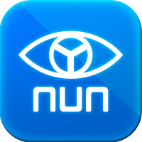 nun