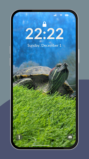 Turtle and Tortoise Wallpaper Screenshot 1