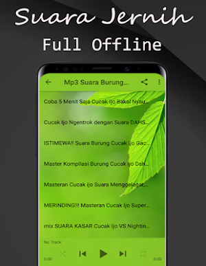 Suara Burung Cucak ijo Betina Offline Screenshot 3