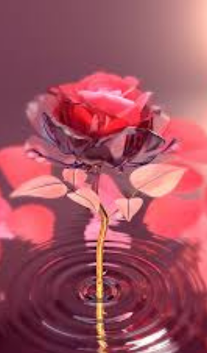 خلفيات حمراء Full HD Screenshot 3