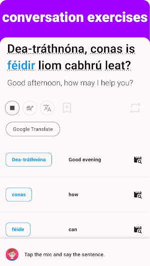 Irish - Listening Speaking Screenshot 3