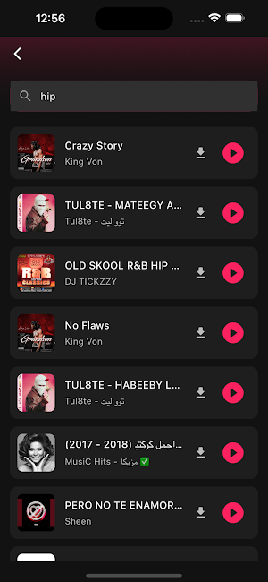 Tubidy Offline Music Player Screenshot 3