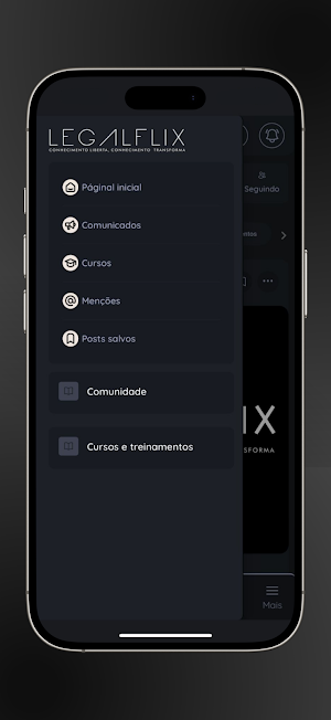LEGALFLIX Screenshot 2