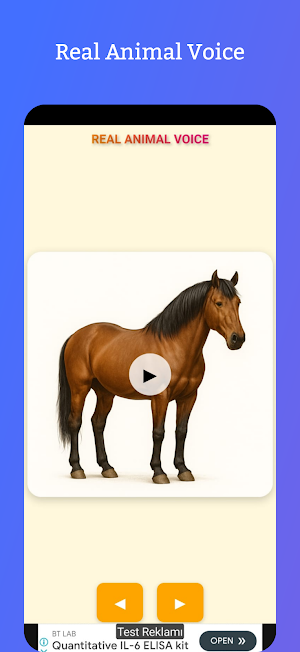 Real Animal Voice Offline Screenshot 1