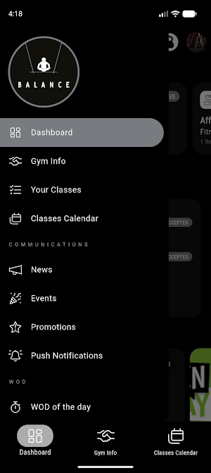 Balance 3.0 Screenshot 1