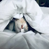 Snoring Sounds