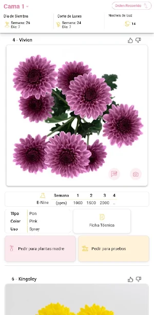 Icon Selections Screenshot 1