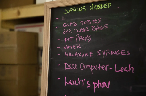 Harm Reduction Sisters Screenshot 2