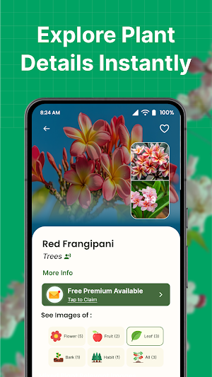 AI Plant Identifier – Plantica Screenshot 2