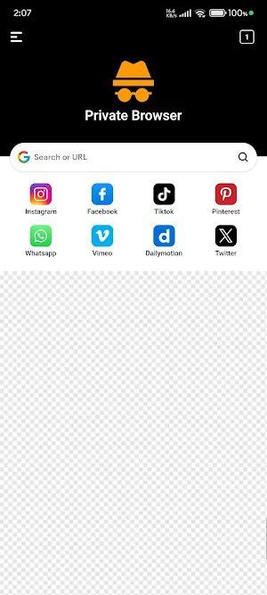 ZZX Private Browser 2025 Screenshot 0