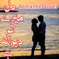 Dil Mery Tu Dewana Hai - Novel