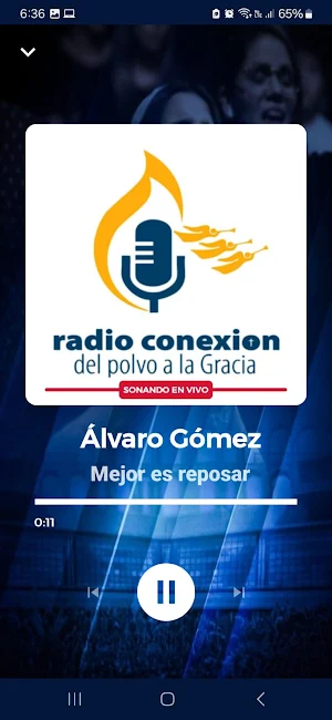 Radio Conexión Enlace Divino Screenshot 2