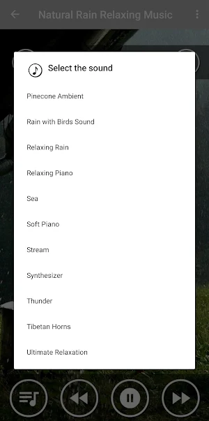 Natural Rain Relaxing Music Screenshot 1