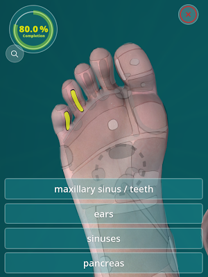 Reflexology Quiz 3D screenshot 6