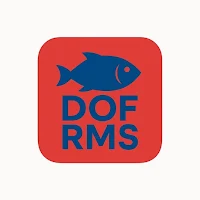 DOF RMS