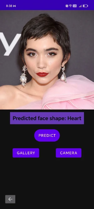 Face Shape Detect & Style Screenshot 0